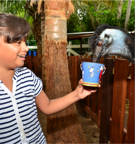Bel_Air_Animal_Park1.png