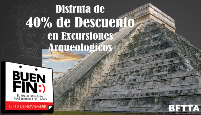 Buen_fin_web.png