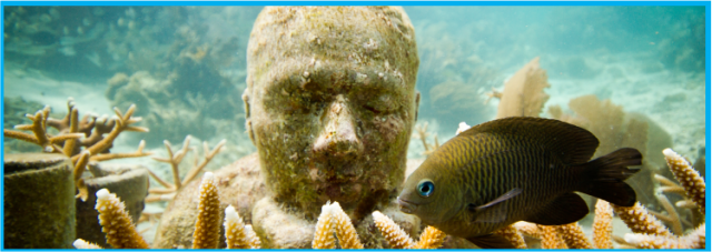 Snorkel.png